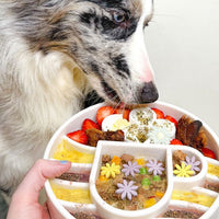 Java Slow Feeder Dog Bowl for Enrichment - 8" diameter x 2" deep