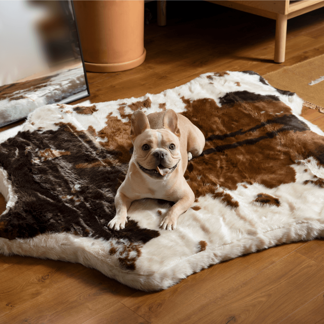 PupRug® Animal Print Memory Foam Dog Bed: Brown Faux Cowhide