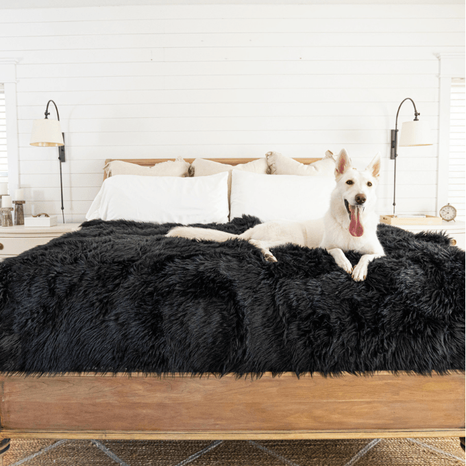 Dog lying on a bed with a black fur waterproof throw blanket in a bedroom setting.