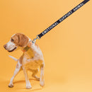 Reflective Nylon Dog Leash: ESA, Service Dog, Adopt Me, Do Not Pet, Therapy Dog