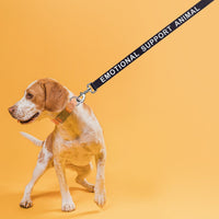 Reflective Nylon Dog Leash: ESA, Service Dog, Adopt Me, Do Not Pet, Therapy Dog
