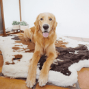 PupRug® Animal Print Memory Foam Dog Bed: Brown Faux Cowhide