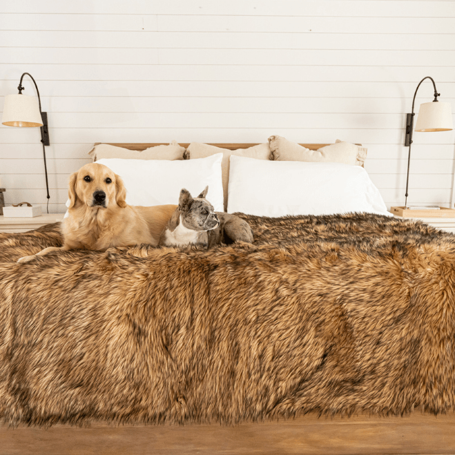 Dog and cat lying on a bed with a brown fur blanket in a bedroom setting.