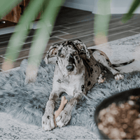PupRug by Paw.com® Faux Fur Orthopedic Dog Bed: Curve Charcoal Grey
