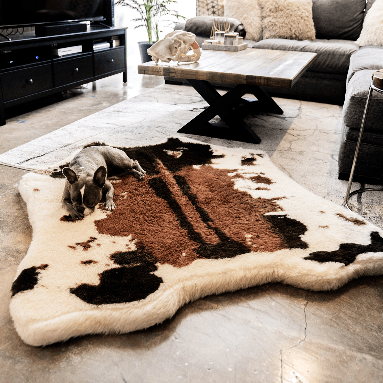 Faux-Cowhide Memory Foam Dog Bed & Luxurious Rug