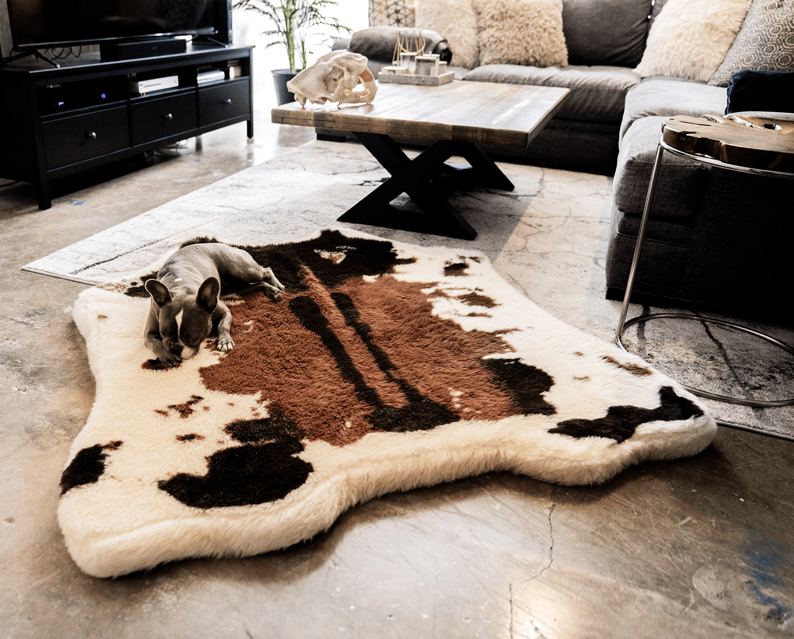 PupRug® Animal Print Memory Foam Dog Bed: Brown Faux Cowhide