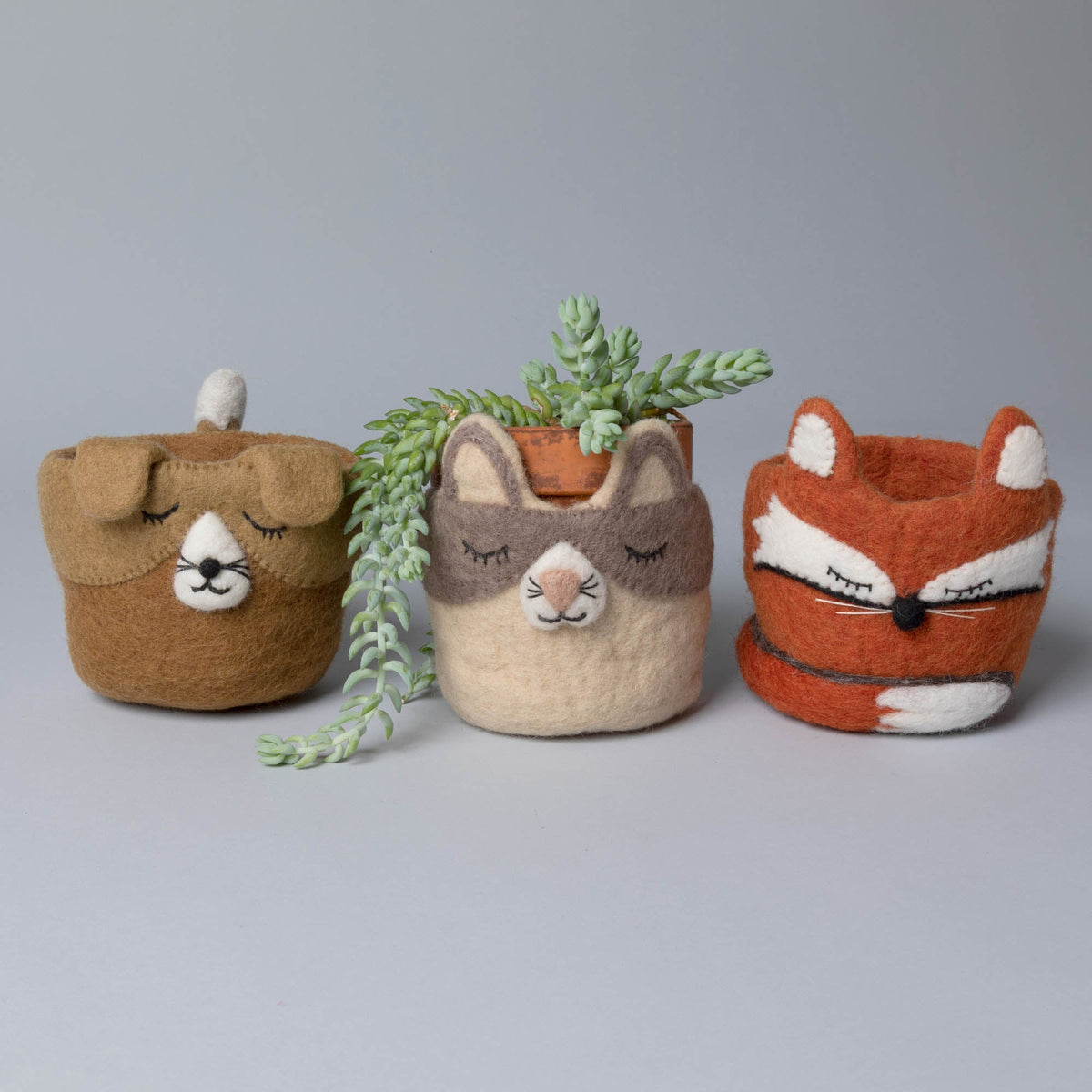 Hand-Felted Cat & Dog  Planters