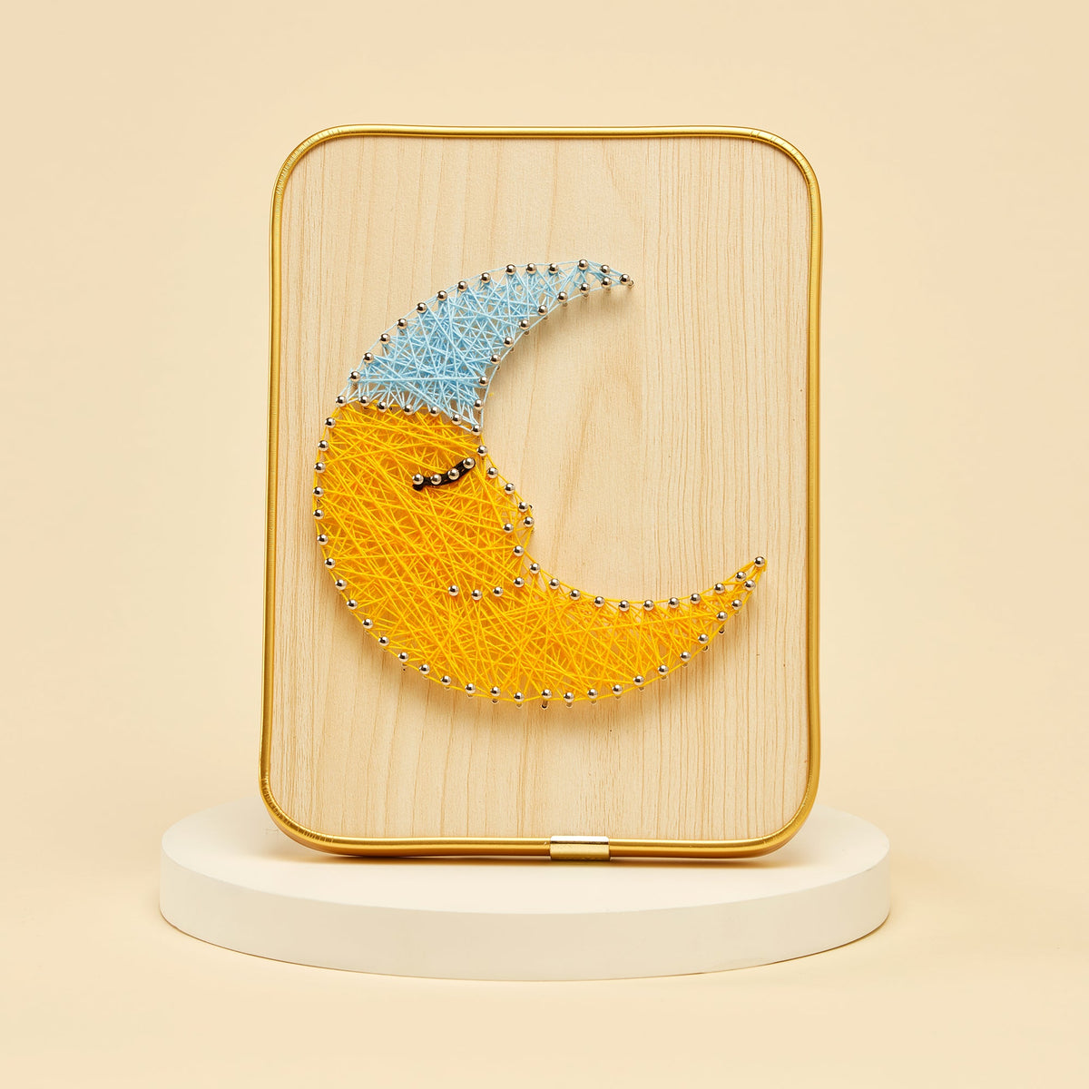 String Art DIY Craft Kit