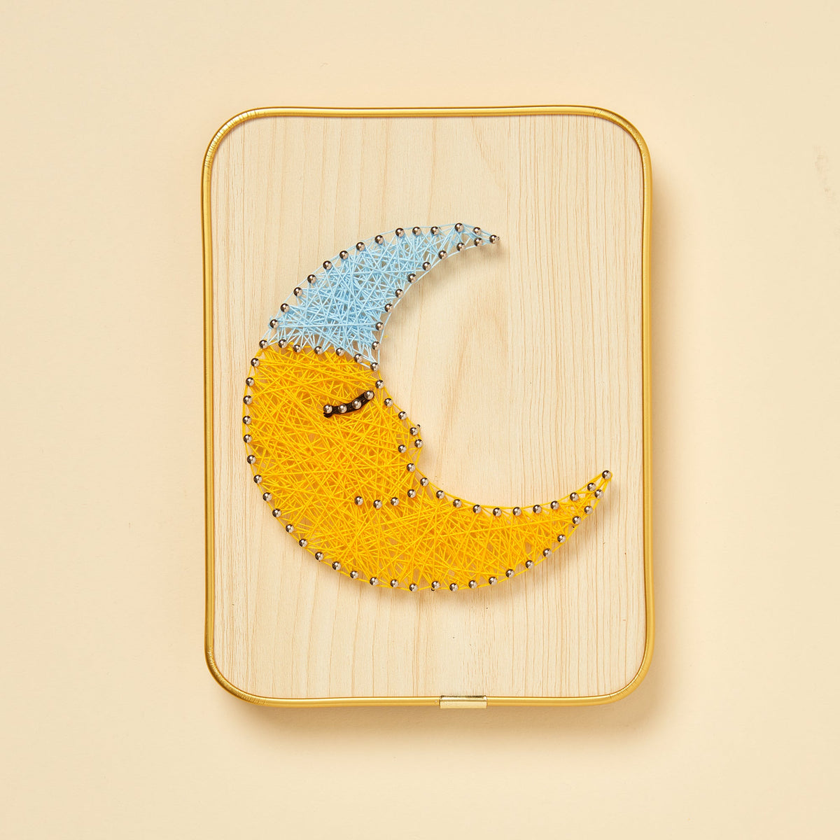 String Art DIY Craft Kit