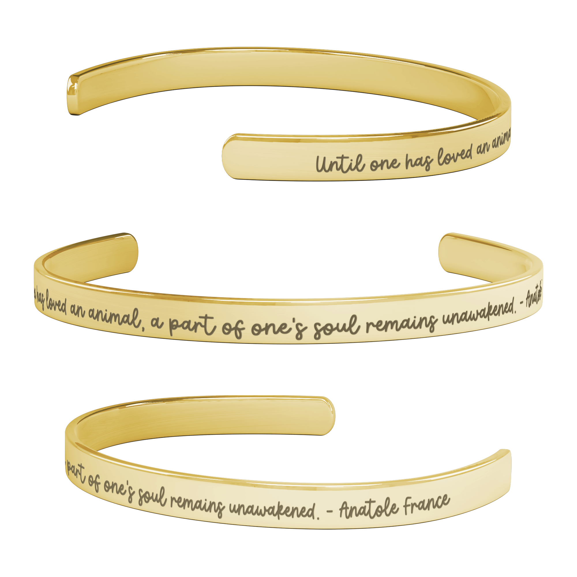 Animal Lover Quote Bracelet Gift-Anatole France