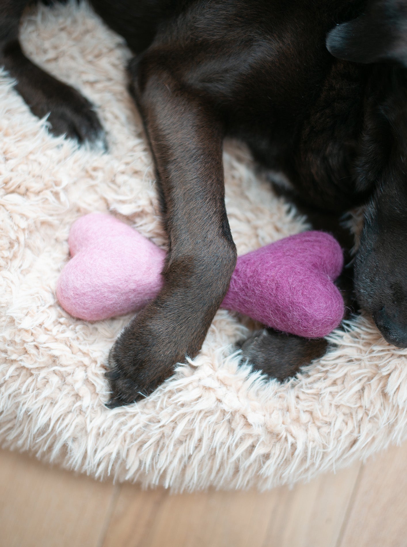 Ombre Woolbone Dog Toy