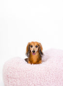 Pod Dog or Cat Bed