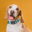 Biothane Waterproof Dog Collar - Magnetic Quick Release Buckle