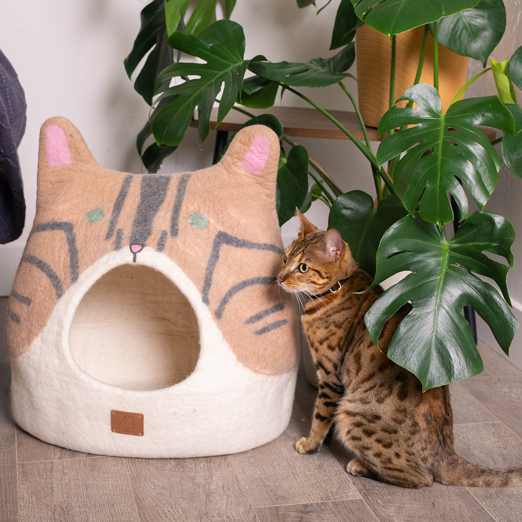 Bengal Cat Cave Bed in Organic Merino Wool: Beige/Ivory-Unique Design
