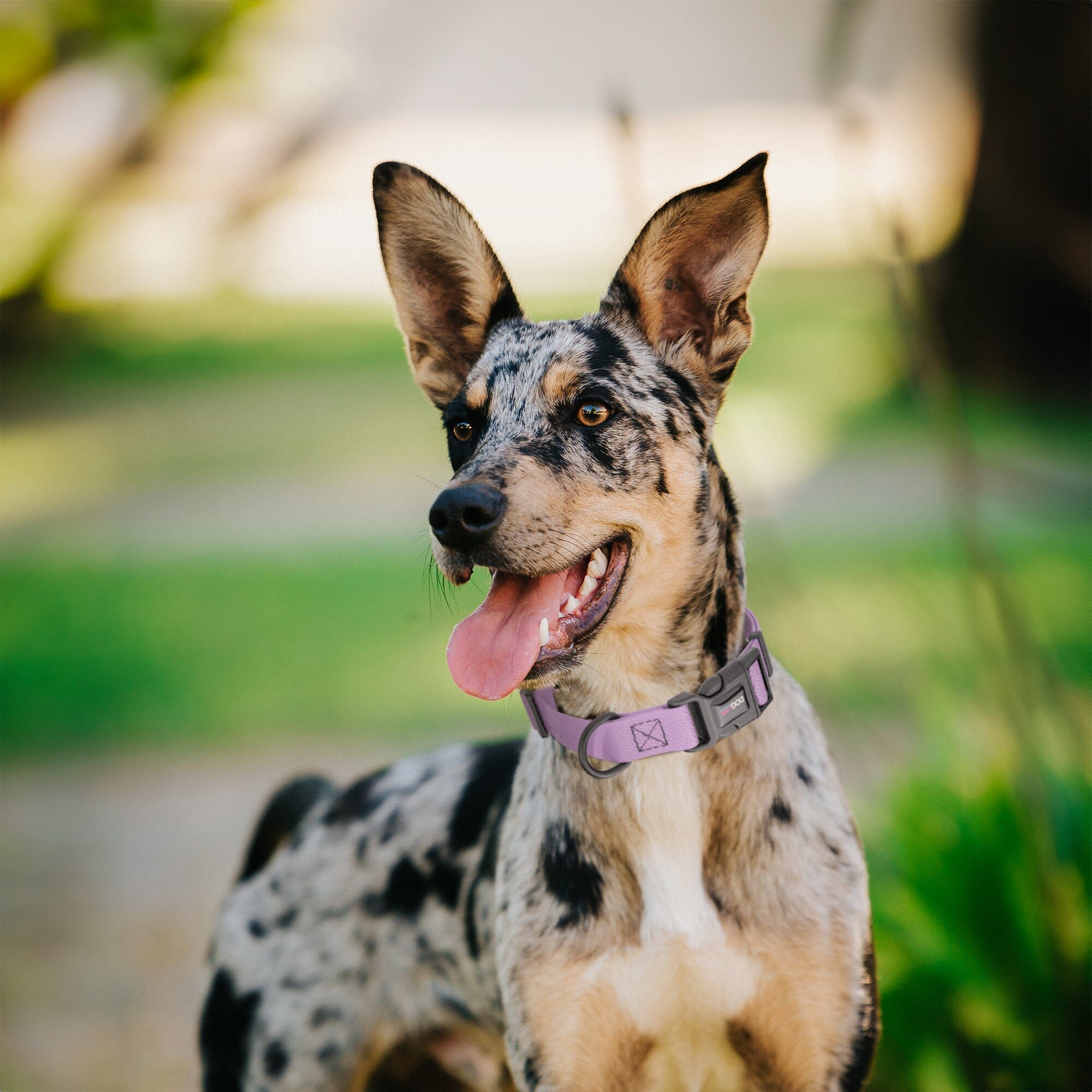 Pebble Emboss Biothane Dog Collar - Quick Release Buckle