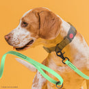 Biothane Dog Leash with Black Scissor Snap