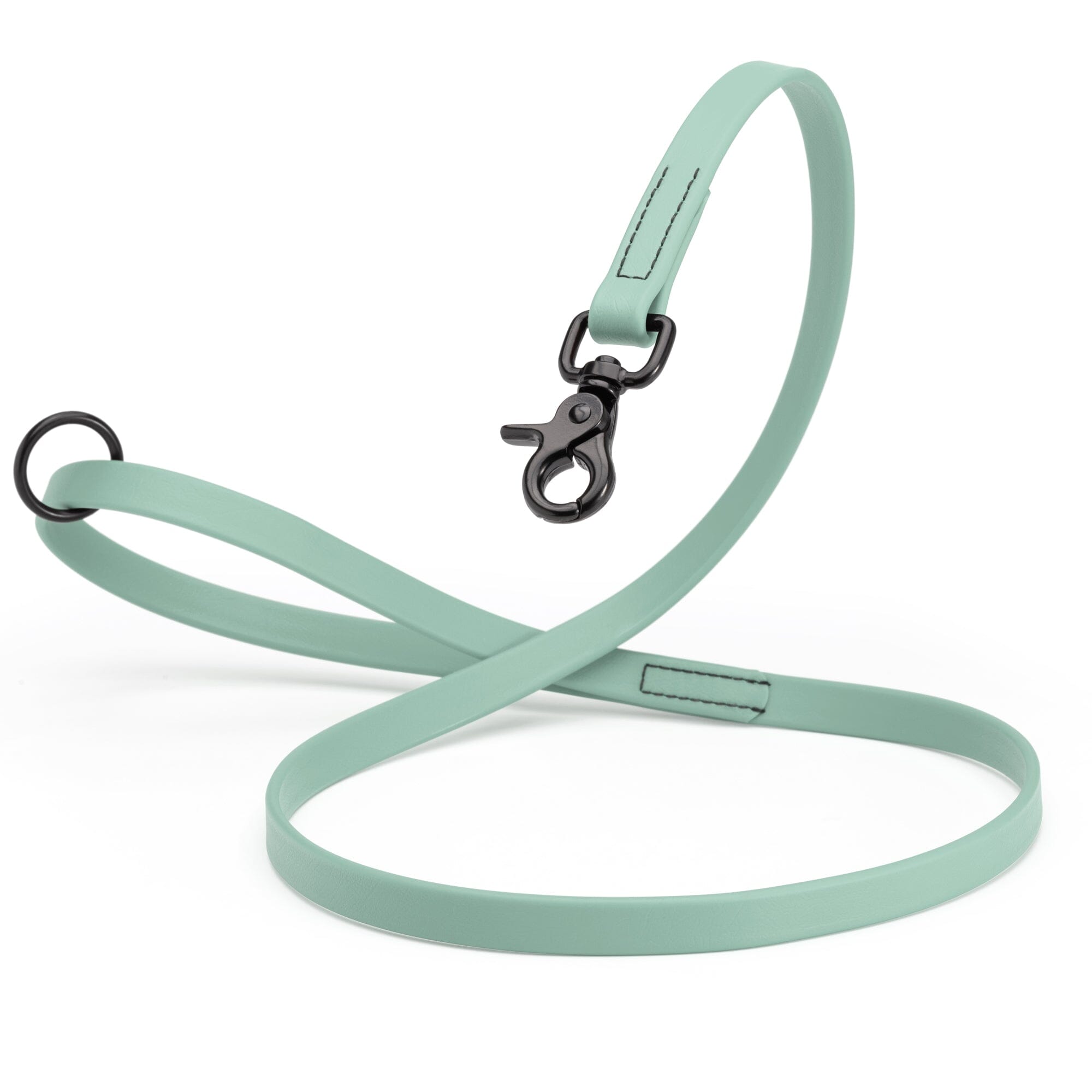 Biothane Dog Leash with Black Scissor Snap