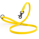 Biothane Dog Leash with Black Scissor Snap