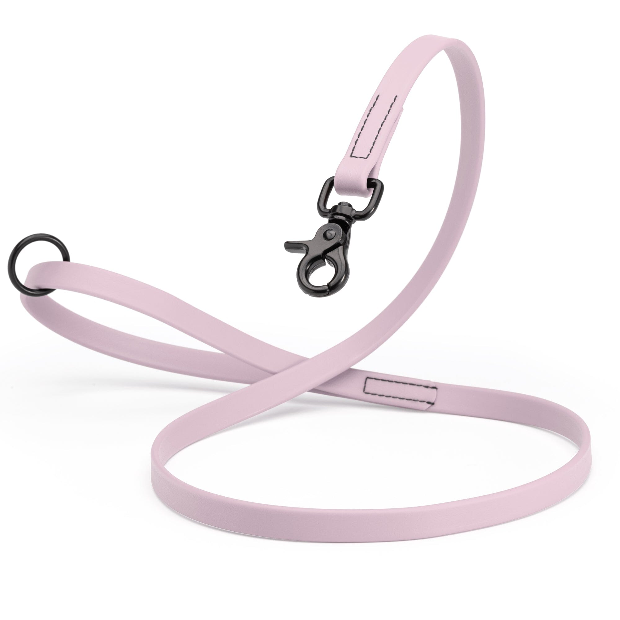 Biothane Dog Leash with Black Scissor Snap