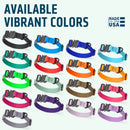 Dogline BioThane Dog Collar with Stab-Lock Quick Release Buckle