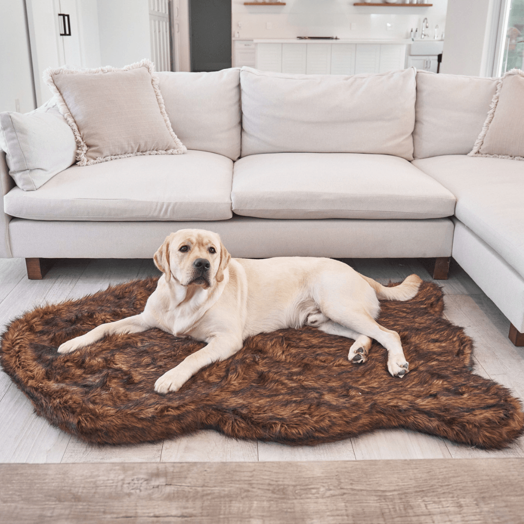 Sable Deep Brown Faux-Fur Orthopedic Dog Bed & Luxurious Rug