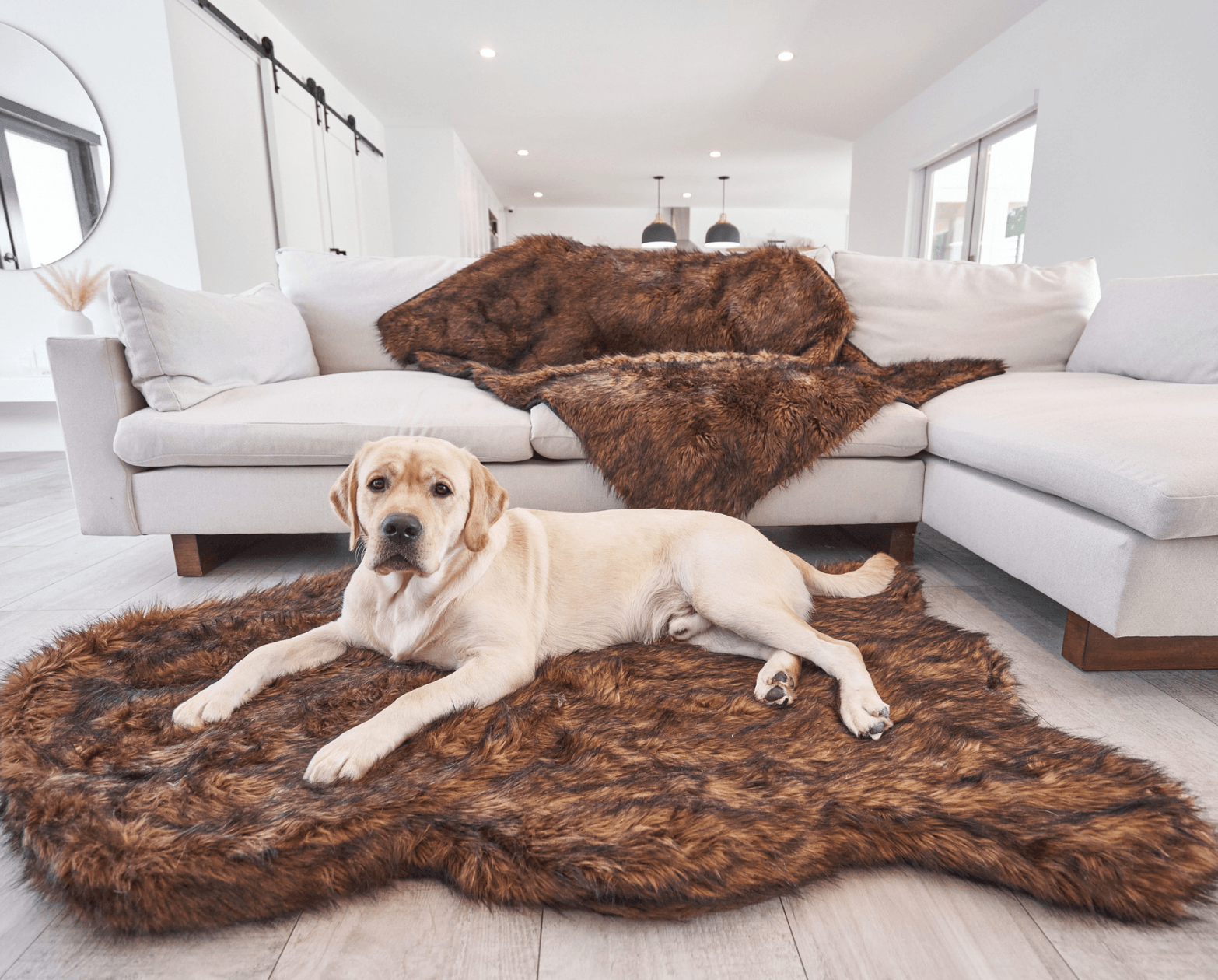 PupRug by Paw.com® Faux Fur Orthopedic Dog Bed: Curve Brown