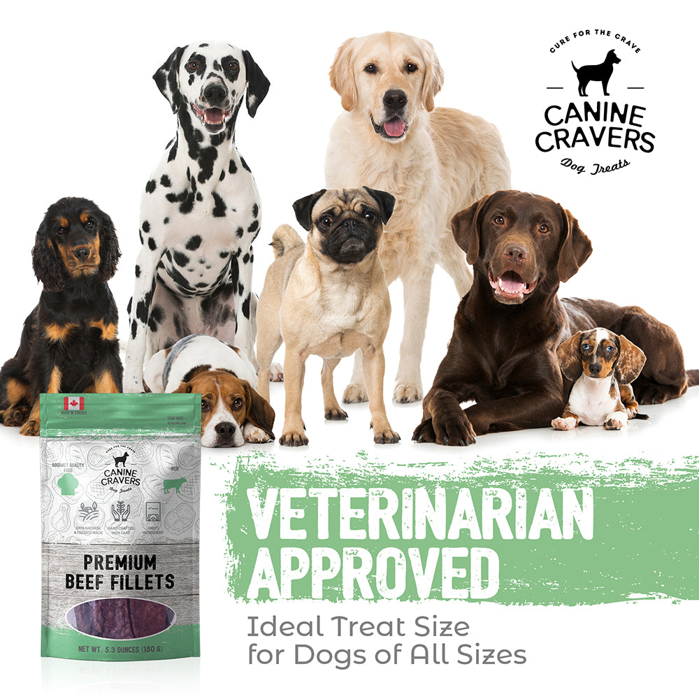 Premium Beef Fillets – Canine Cravers Dog Treats - 5.3 oz