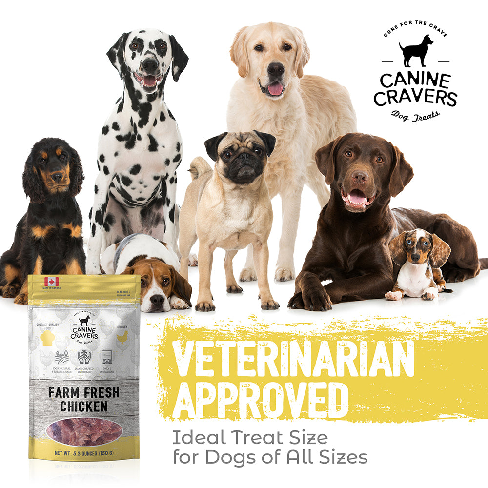 Farm Fresh Chicken – Canine Cravers Dog Treats - 5.3 oz