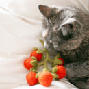 Cherry Tomatoes Wool Toy for Cats & Small Dogs
