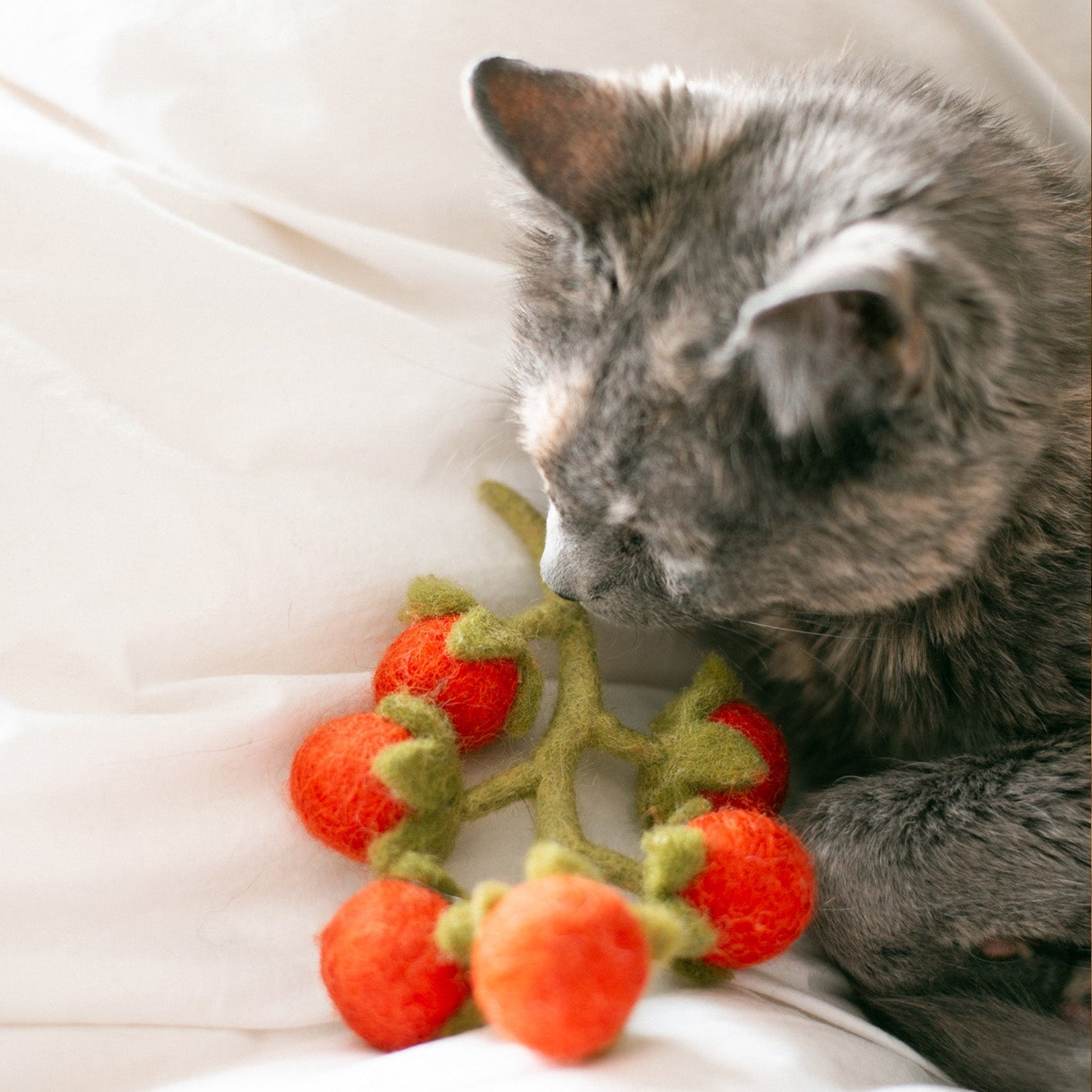 Cherry Tomatoes Wool Toy for Cats & Small Dogs