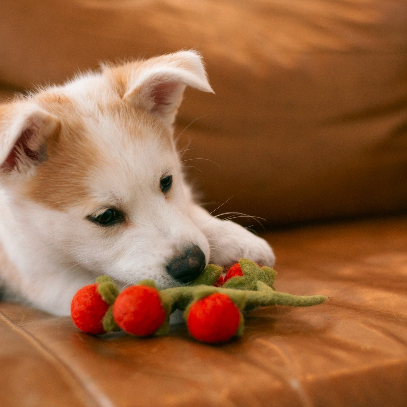 Cherry Tomatoes Wool Toy for Cats & Small Dogs