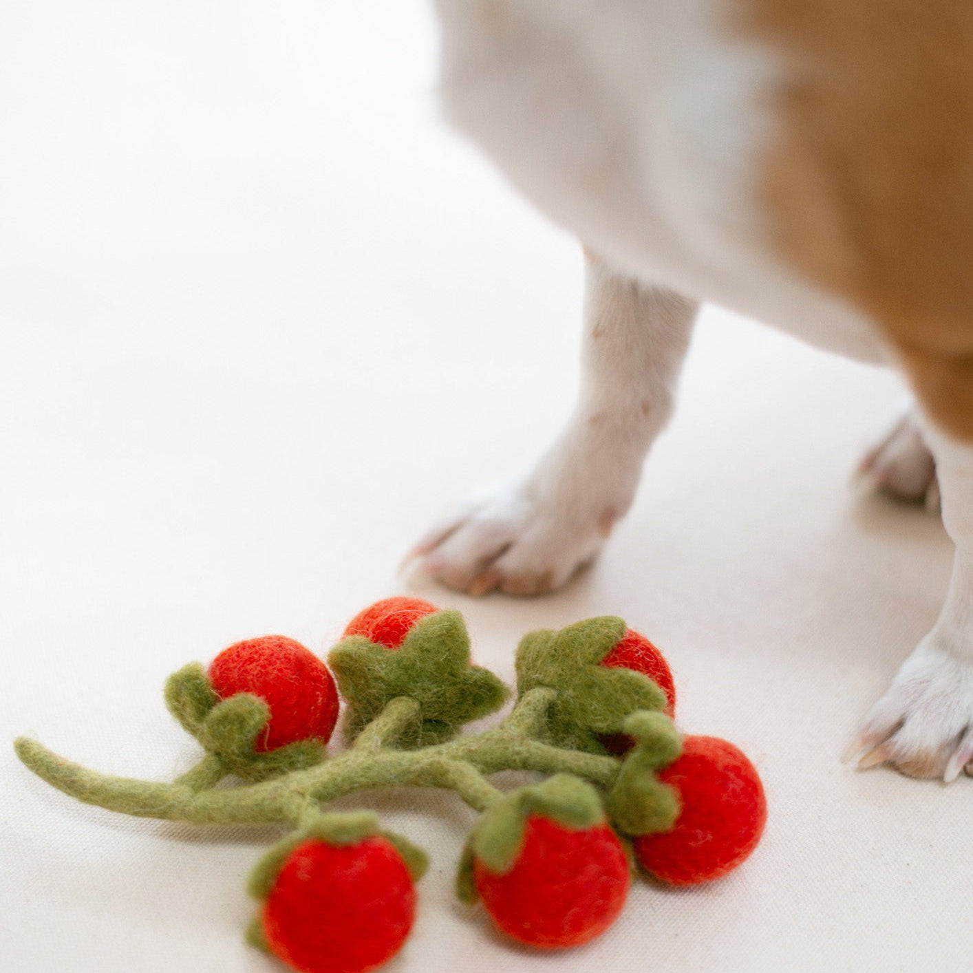 Cherry Tomatoes Wool Toy for Cats & Small Dogs