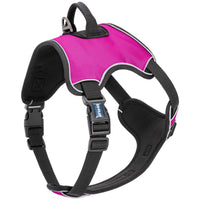Co-Pilot Adjustable No-Pull Dog Harness with Handle