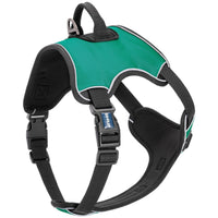 Co-Pilot Adjustable No-Pull Dog Harness with Handle