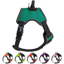 Co-Pilot Adjustable No-Pull Dog Harness with Handle