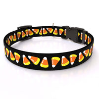 Candy Corn Pet Collar