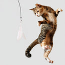 Cat Teaser Toy - Feather Wand