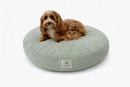 A small brown dog lies on a round, light sage green and white plaid designer cat and dog bed on a white background.