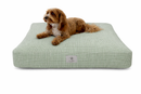 A small brown dog lies on a rectangle, light sage green and white designer dog bed in a simple plaid pattern, set against a plain white background.