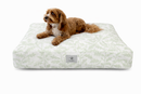 A small brown dog on a designer, rectangle dog bed with a sage green and creamy white rustic botanical, countryside design on a white background.