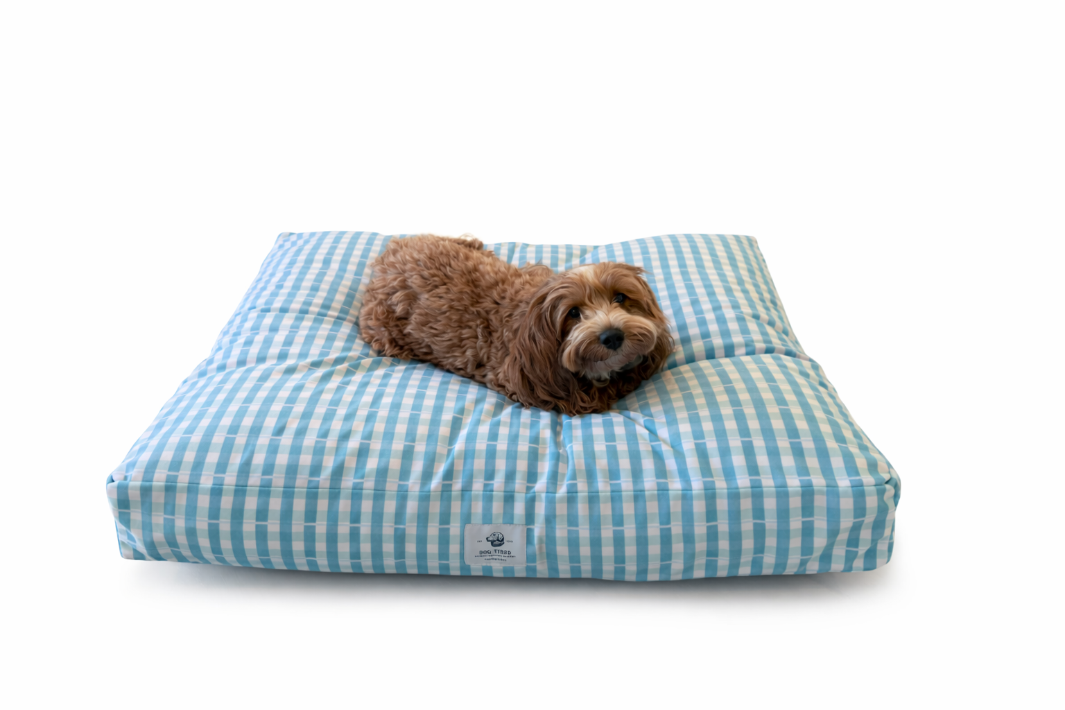 A small brown dog lies on a rectangle designer dog bed with a light blue and white simple plaid pattern, photographed on a clean white background.