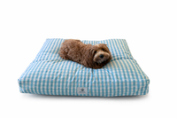 A small brown dog lies on a rectangle designer dog bed with a light blue and white simple plaid pattern, photographed on a clean white background.