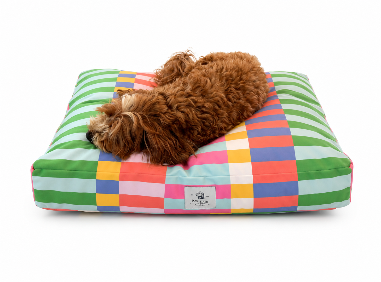 brown dog lying on a bright, happy colored geometric pattern dog bed.
