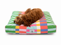 brown dog lying on a bright, happy colored geometric pattern dog bed.