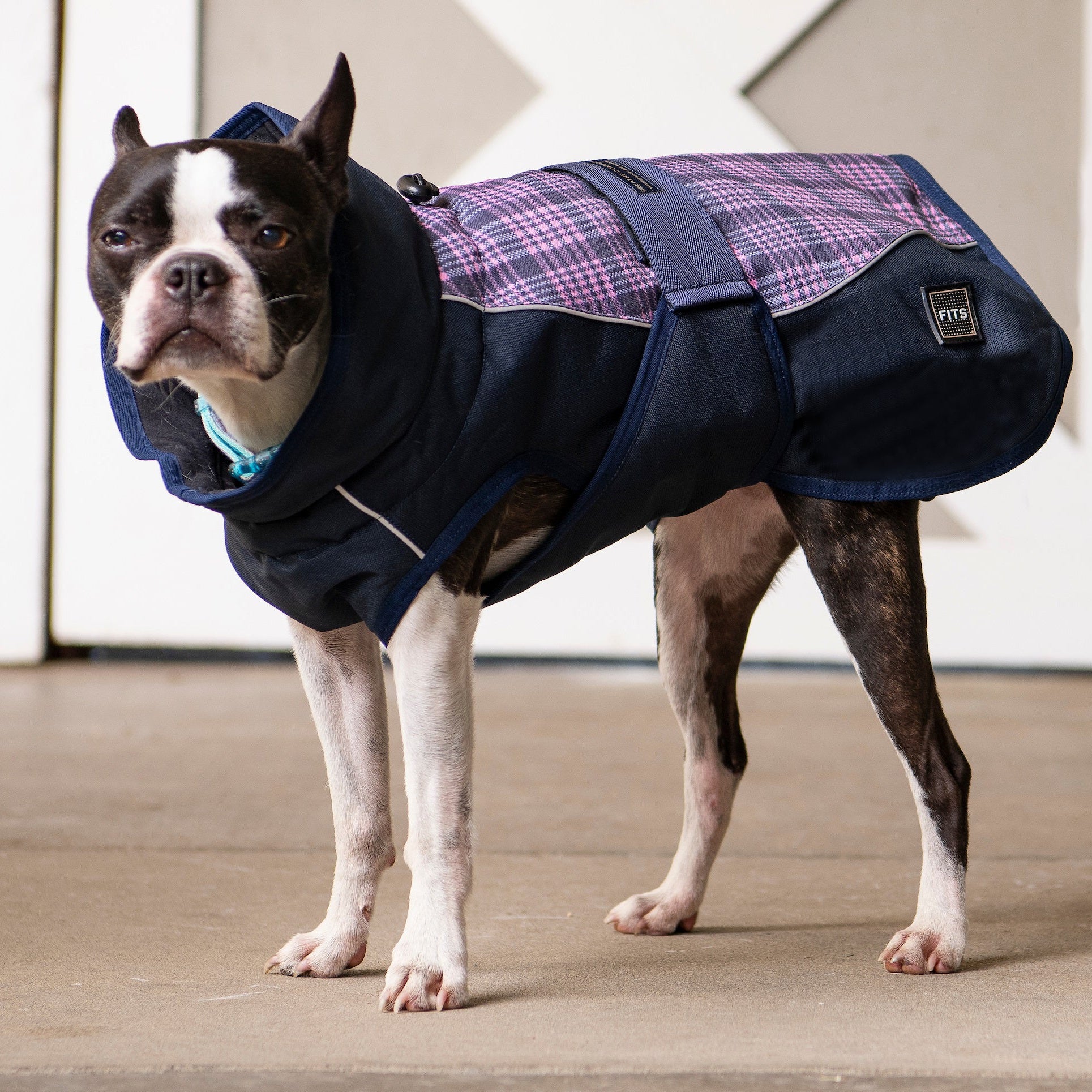 Salmon/Navy Plaid / XXS/9
