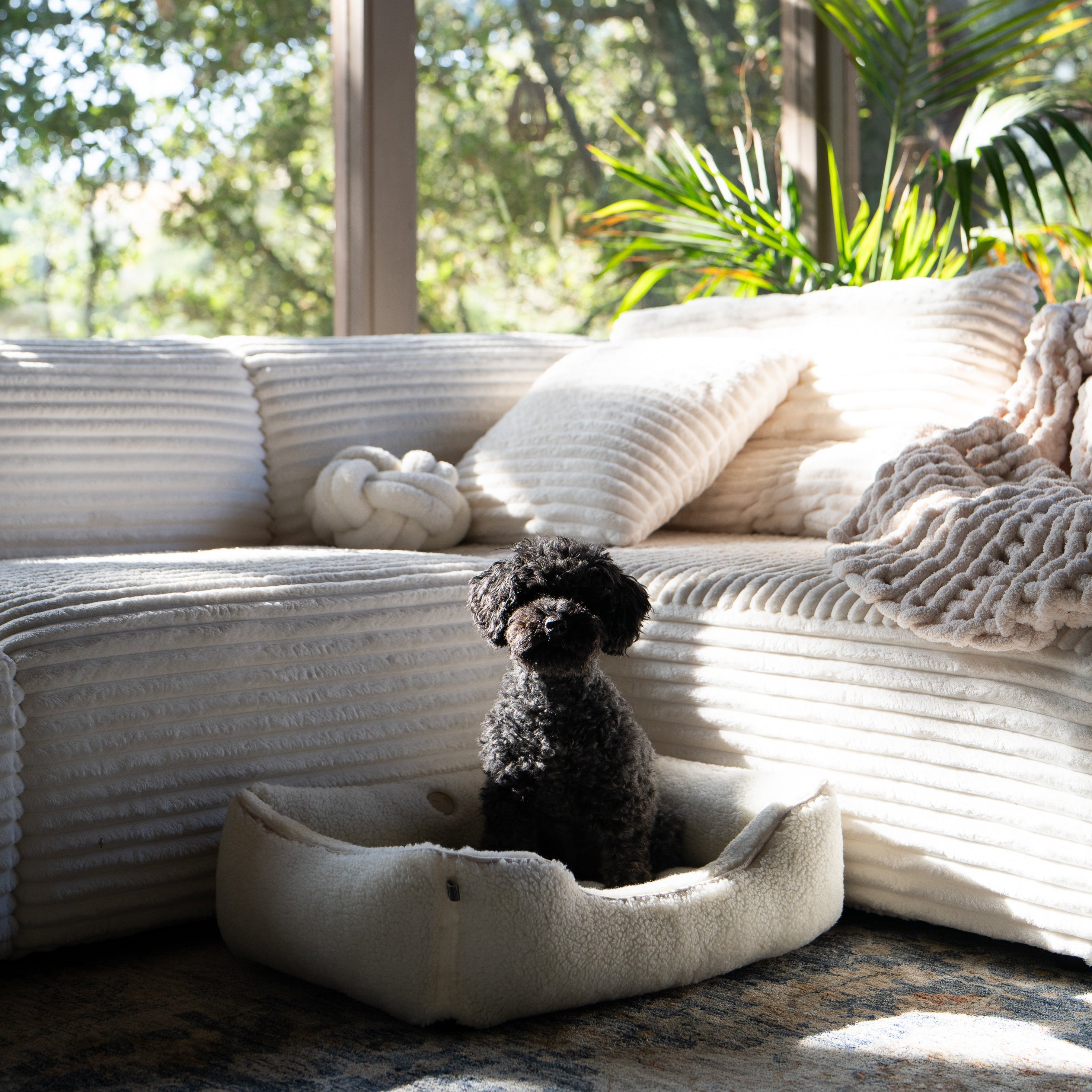 Furry Sleeper Dog Bed in Beige - Chester & Lee