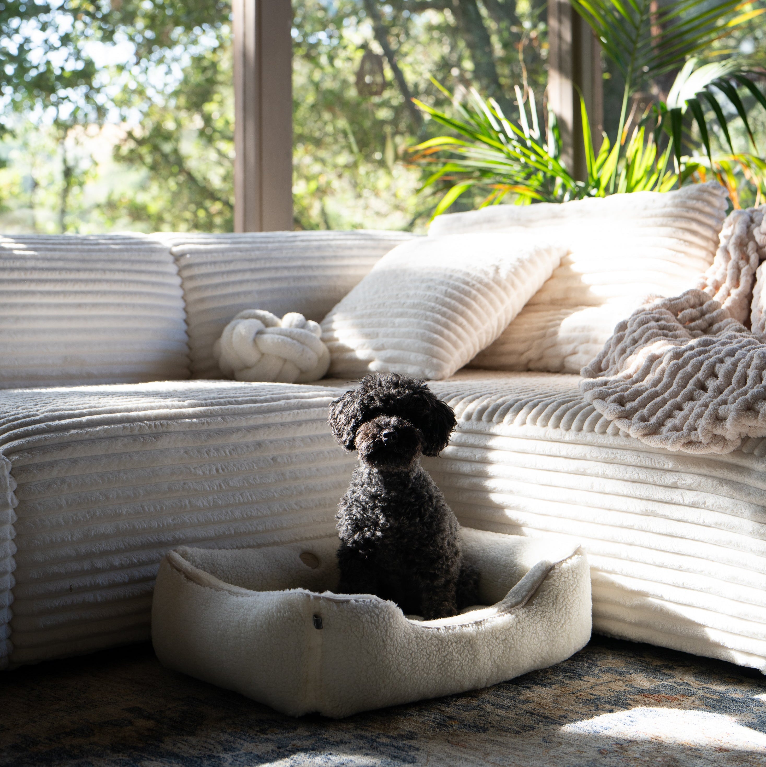 Furry Sleeper Dog Bed in Gray - Chester & Lee