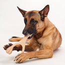 BetterBone MODERATE Chew Toy