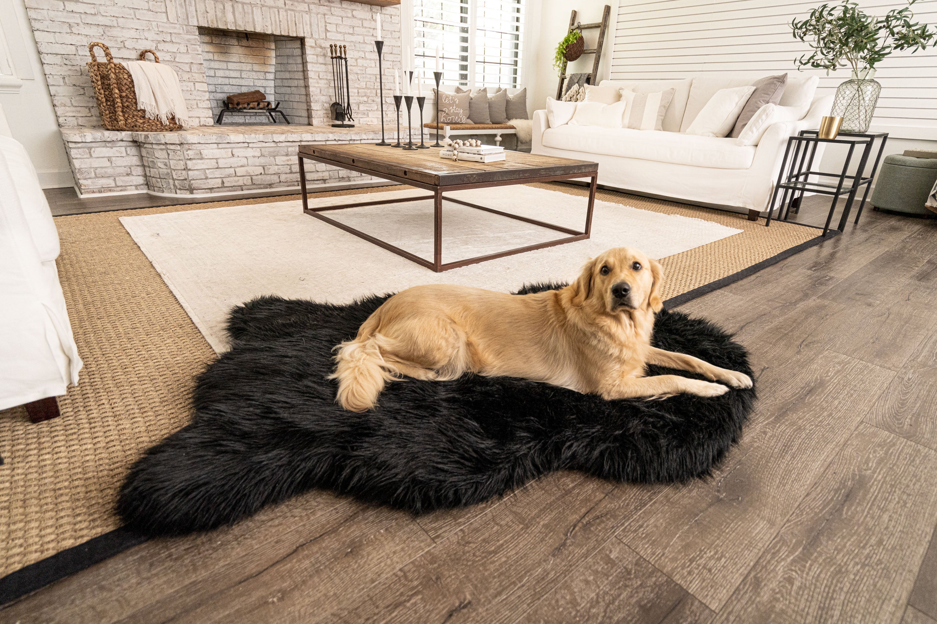 PupRug by Paw.com®  Faux Fur Orthopedic Dog Bed: Curve Midnight Black