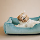 Vibrant Velvet Sleeper Dog Bed in Tiffany Blue - Chester & Lee